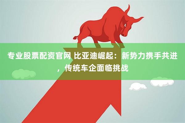 专业股票配资官网 比亚迪崛起：新势力携手共进，传统车企面临挑战